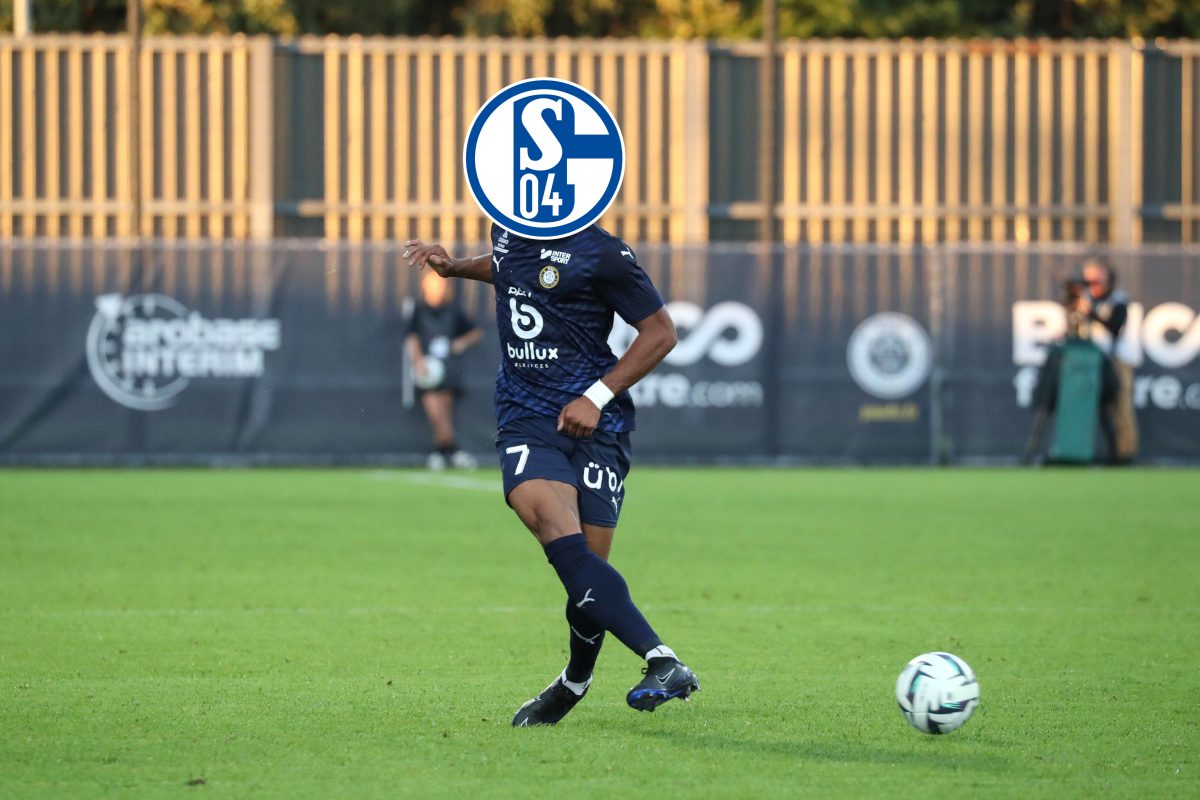 Das wÃ¤re ein Hammer! Der FC Schalke 04 soll vor der Verpflichtung eines neuen Spielers stehen. Es wÃ¤re wohl der Top-Transfer des Sommers.