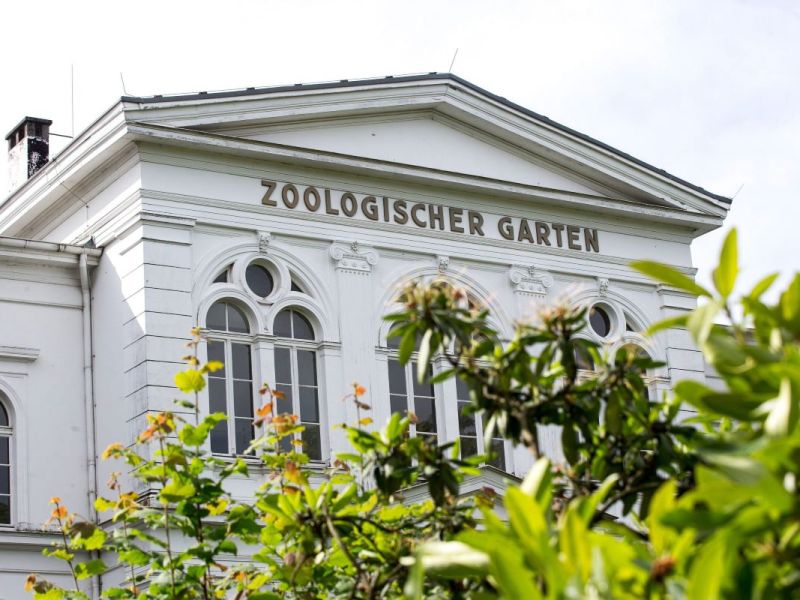 Der Zoo Wuppertal muss sich von zwei Bewohnern verabschieden.