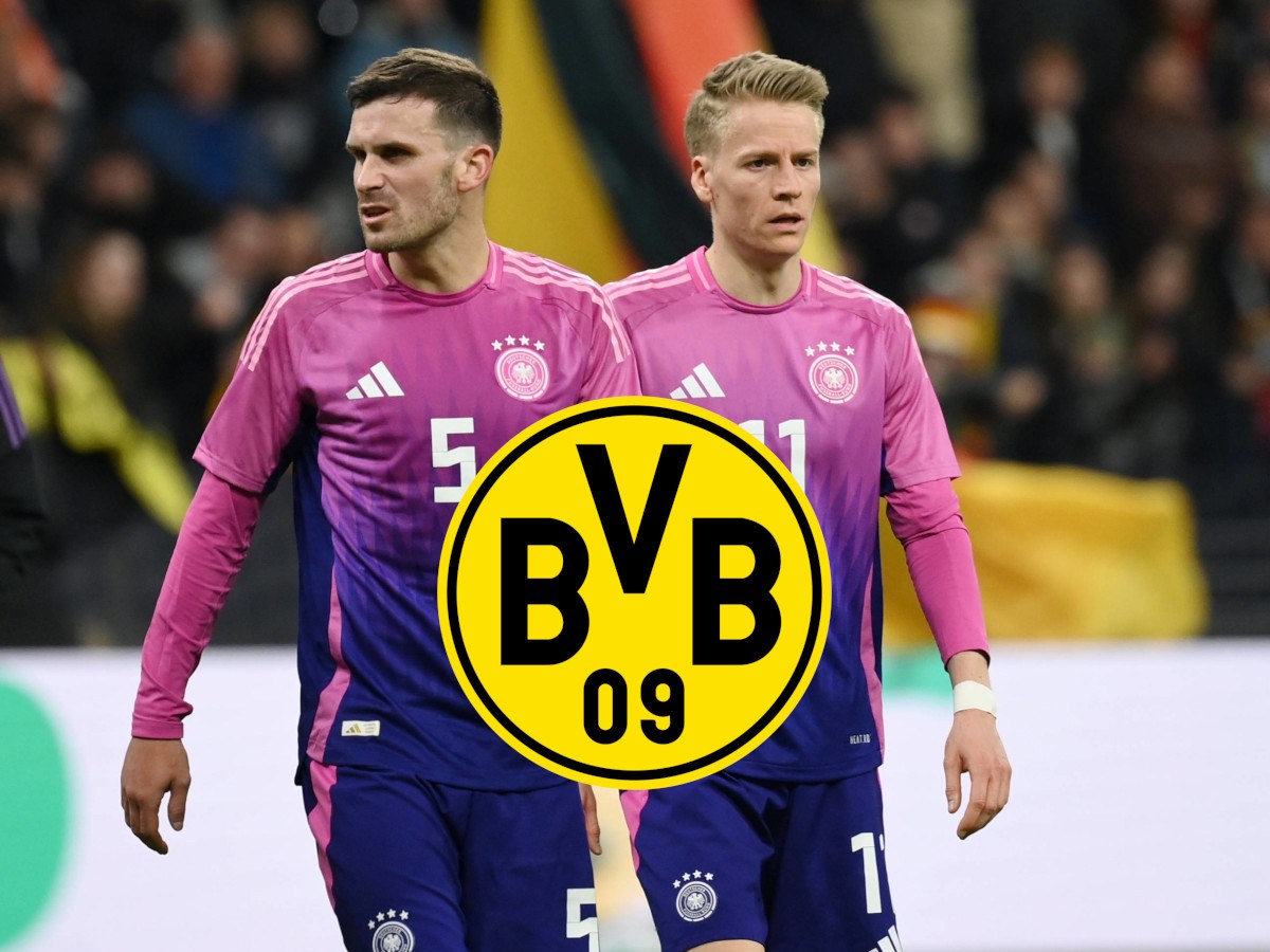 BVB Gross