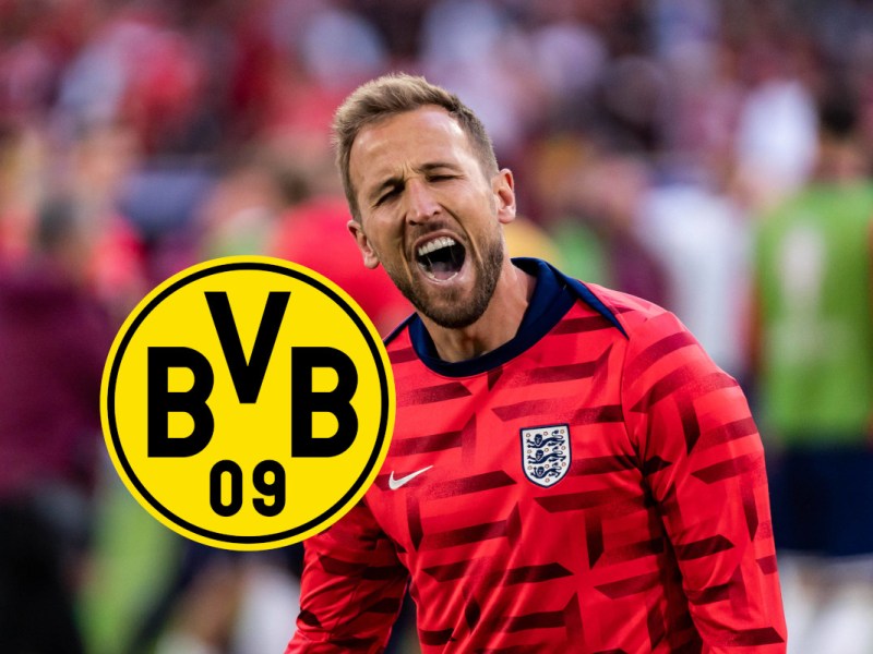 BVB Kane