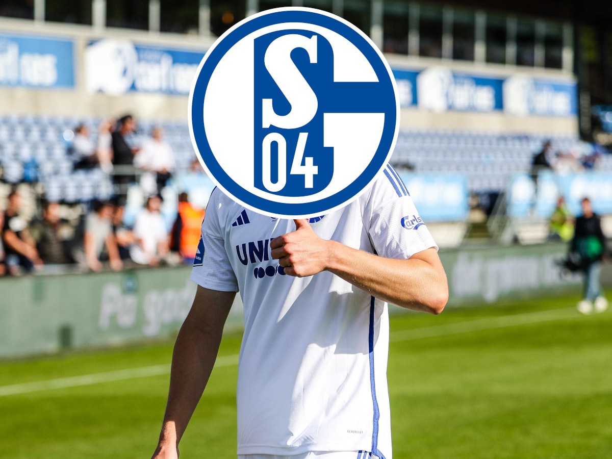 Hojlund Schalke 04