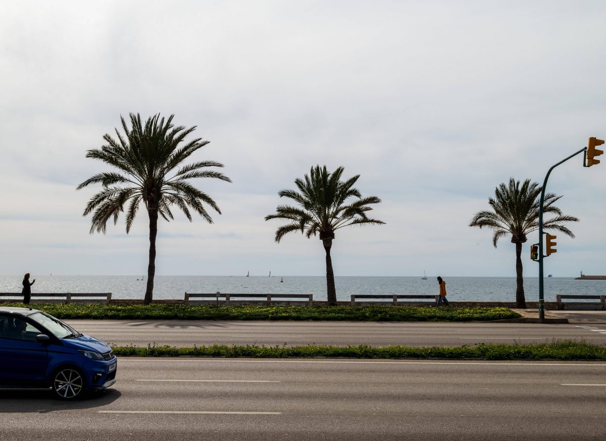 Urlaub im Süden mit dem Auto? Diese Gefahr droht