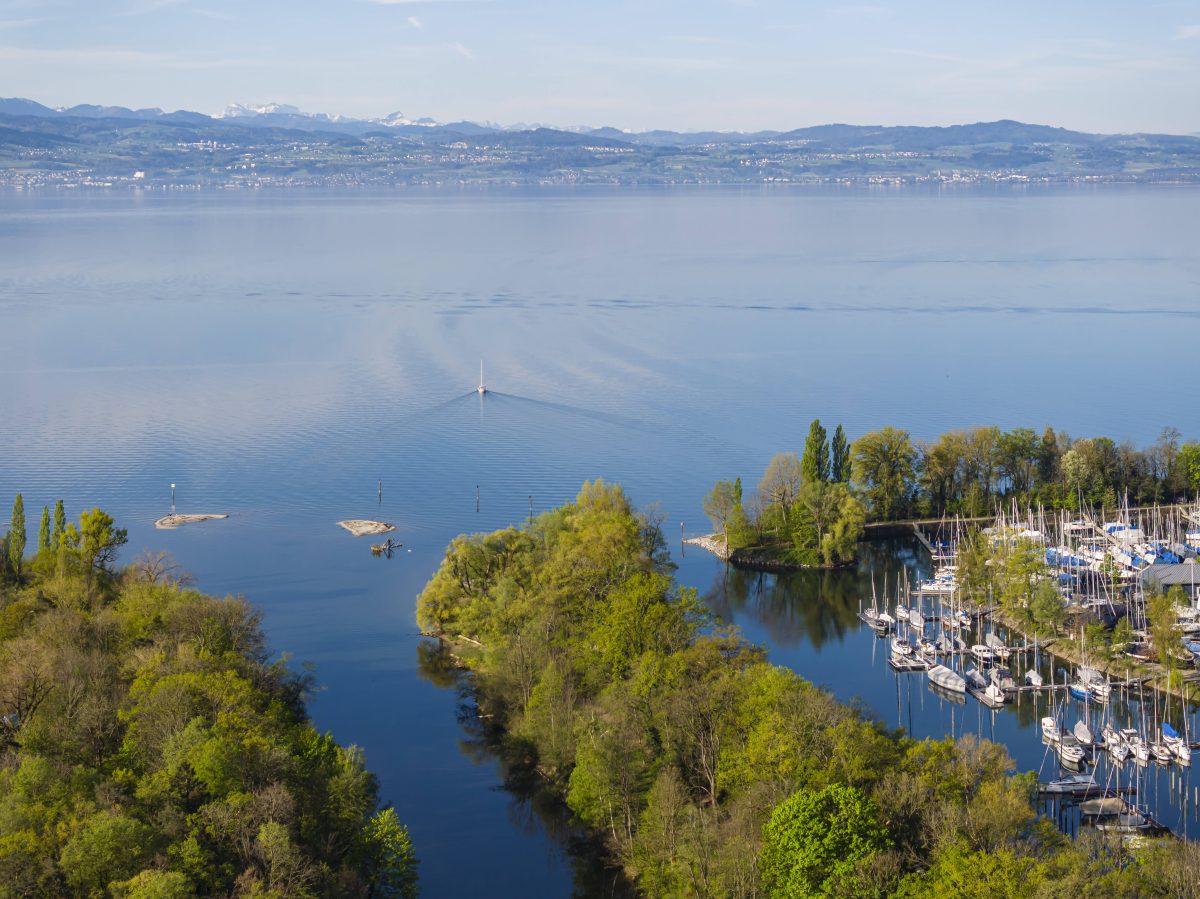 Urlaub am Bodensee: Touristen kämpfen mit Mückenplage