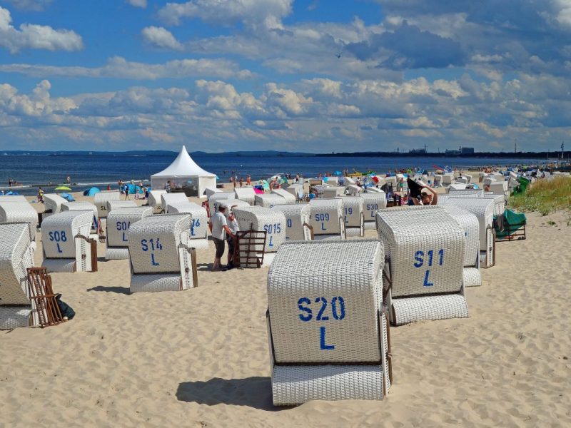 Urlaub an der Ostsee: Plage bedroht Hunde der Touristen