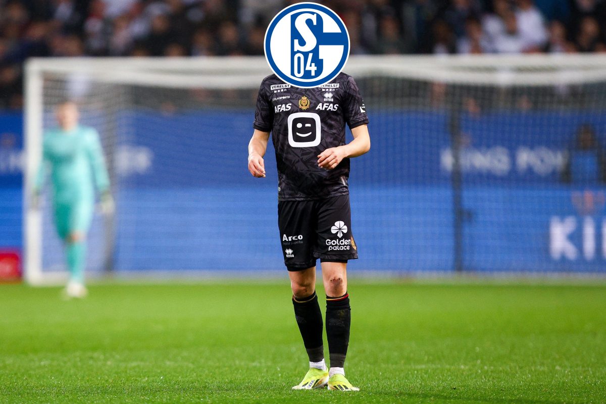 Der FC Schalke 04 bastelt weiter am Kader fÃ¼r die Zukunft. Nun kÃ¶nnte ein Sturm-Juwel aus Belgien der nÃ¤chste Neuzugang werden.