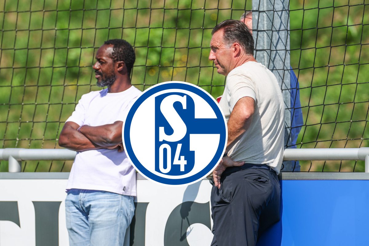 Marc Wilmots haut auf den Tisch! Der Sportdirektor des FC Schalke 04 spricht das aus, was viele Fans wohl nicht gerne hÃ¶ren werden.