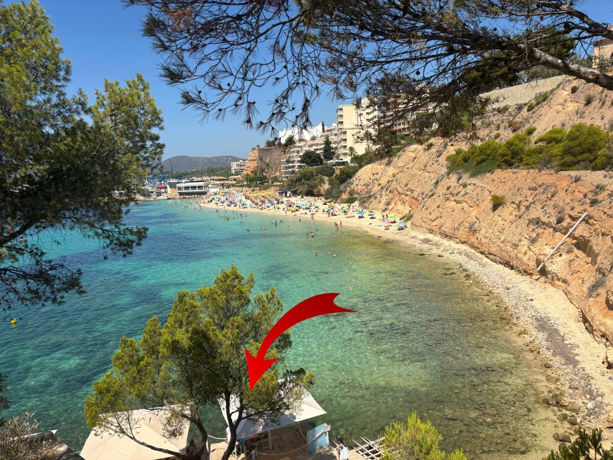 Mallorca Geheimtipp Promi-Bar