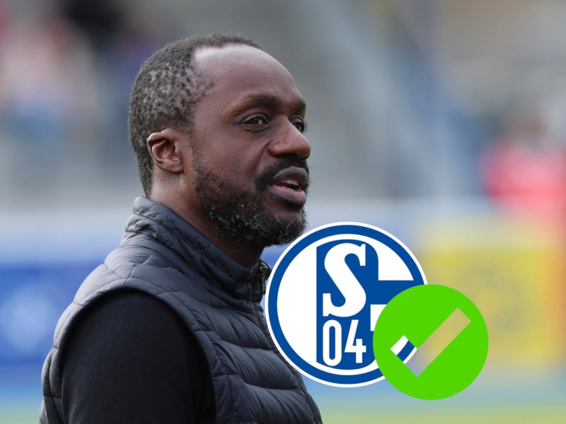 Schalke Sanchez