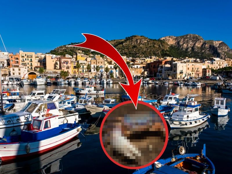 urlaub italien blaukrabbe