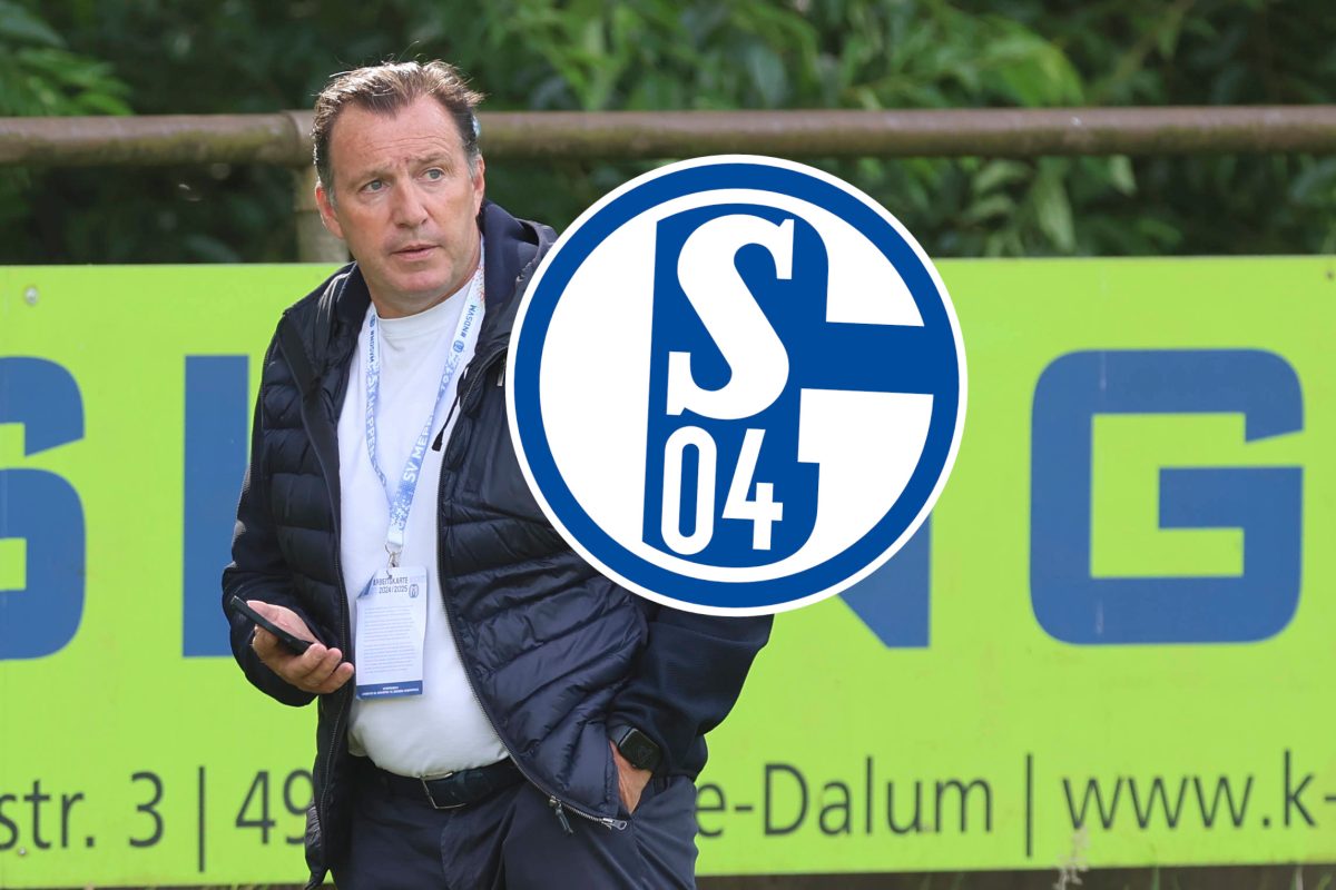 Marc Wilmots hat beim FC Schalke 04 groÃŸe PlÃ¤ne.