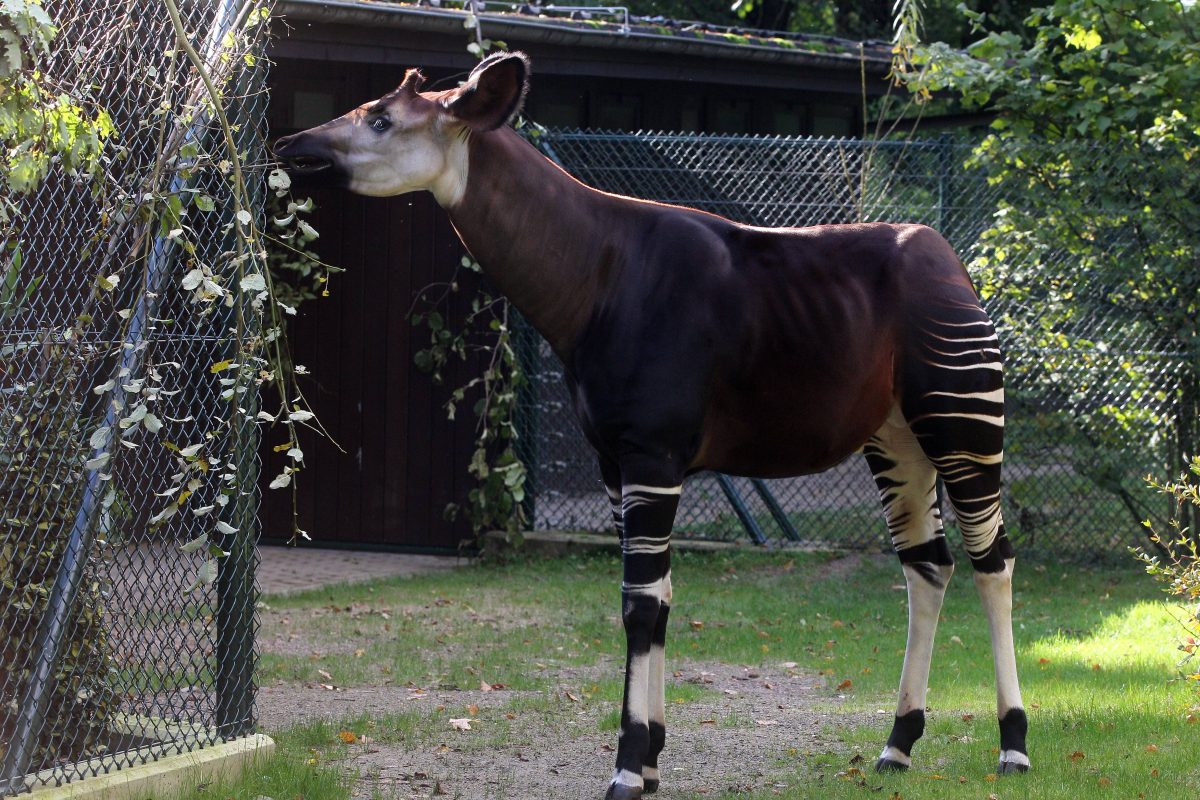 Zoo Wuppertal