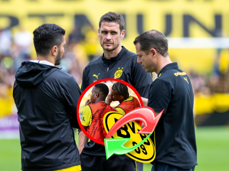 BVB Brunner Wechsel