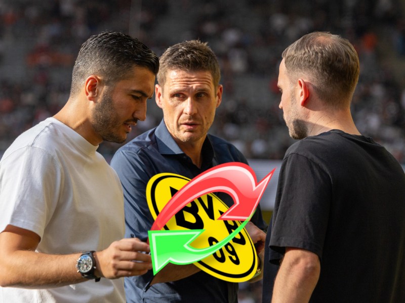 BVB Haller Transfer