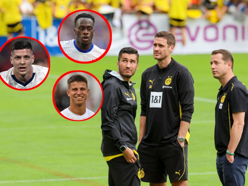 BVB Sturm