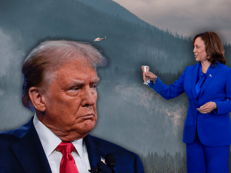 Trump erlebt beinahe ein Hubschrauberabsturz mit mit Kamala Harris' Ex? Der dann auch noch mit ihm über sie lästert? Trumps neueste Story sorgt für Lacher – und Kopfschütteln.
