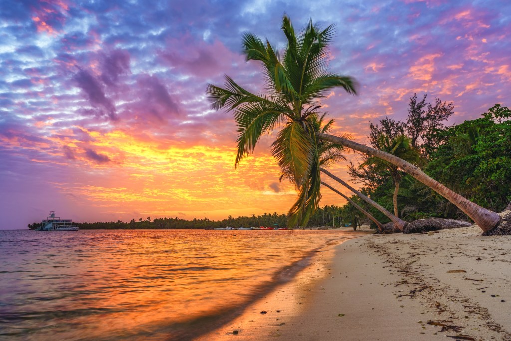 Strand mit Palme vor Sonnenuntergang