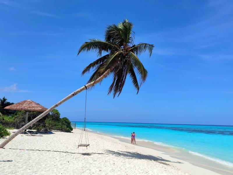 Palme an weißem Sandstrand mit klarem Himmel.