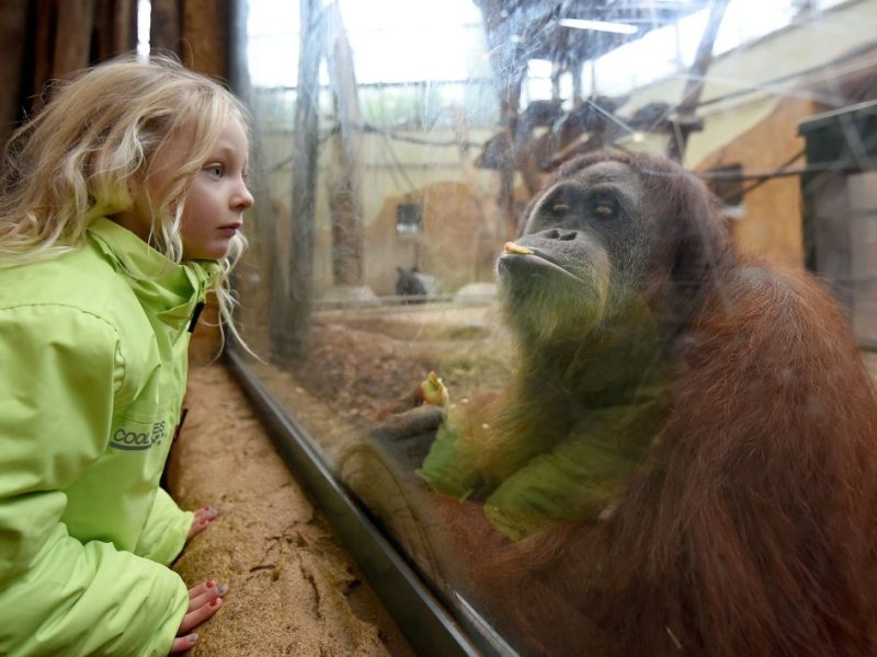 Zoo Dortmund