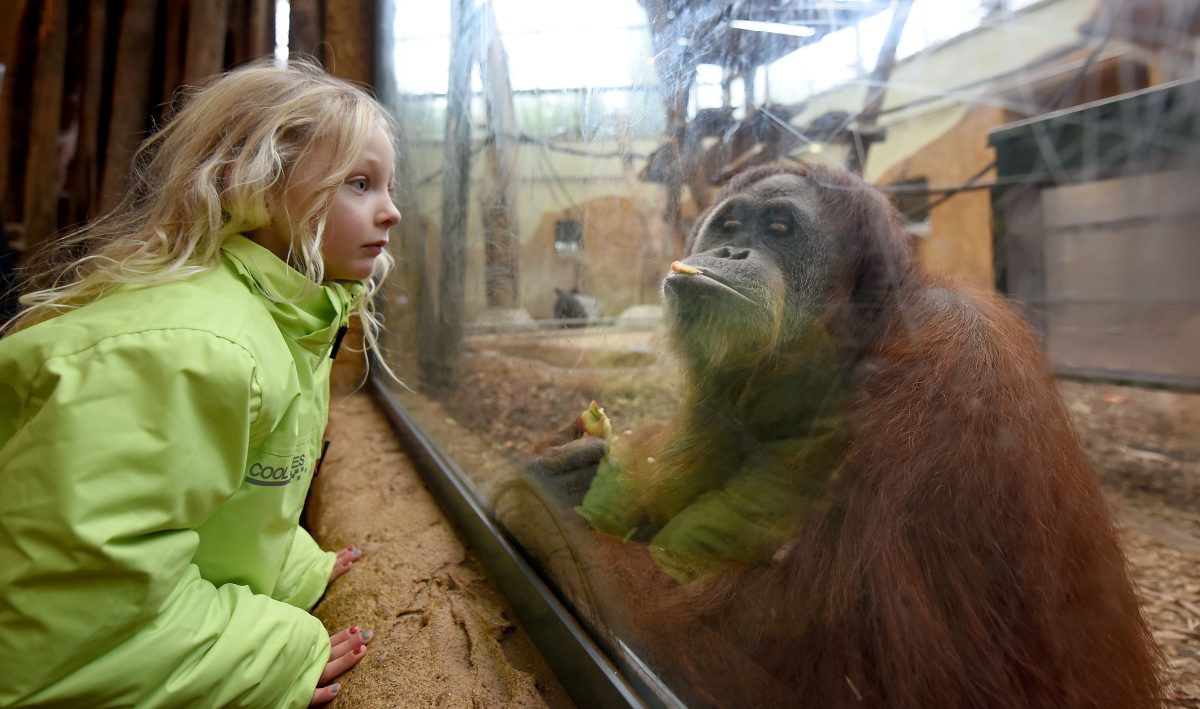 Zoo Dortmund