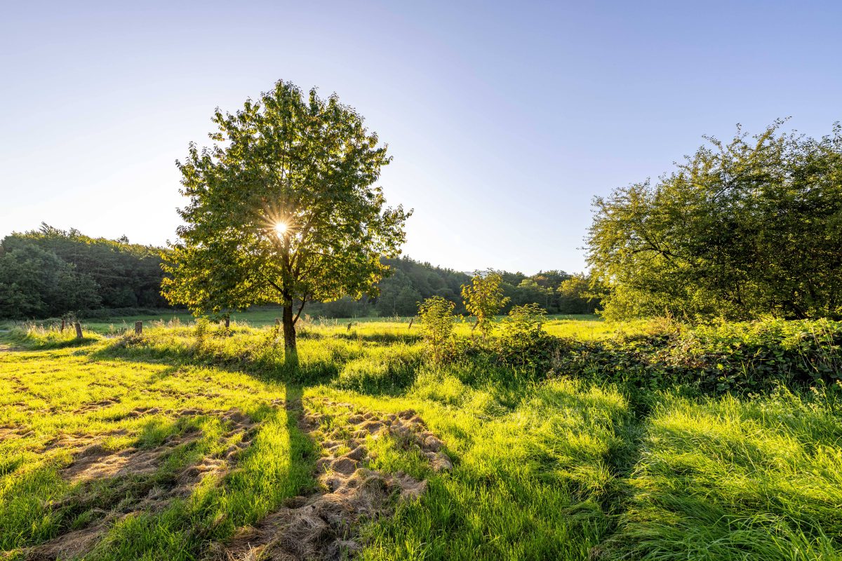 Wetter in NRW: Experte prognostiziert Herbstanfang