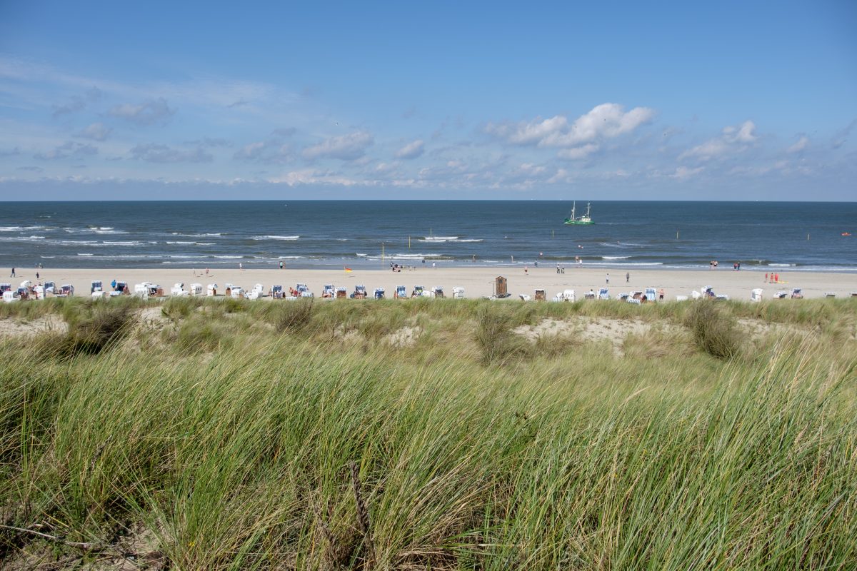 47+ Wohnen An Der Ost Oder Nordsee Mit Garten, Wir haben 12