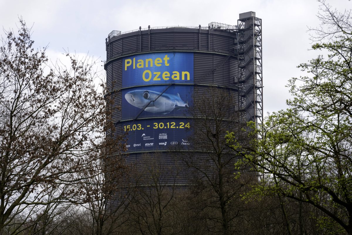 Der Gasometer in Oberhausen hat ein besonderes Angebot für Besucher!