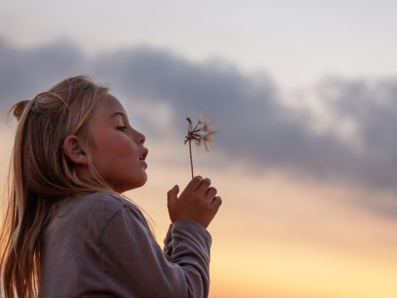 Horoskop Pusteblume