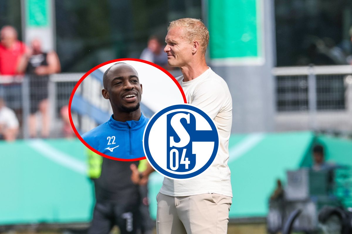 Der FC Schalke 04 hat mit Christopher Antwi-Adjei einen weiteren Neuen an Board geholt. Plötzlich steht Karel Geraerts vor einem Problem.