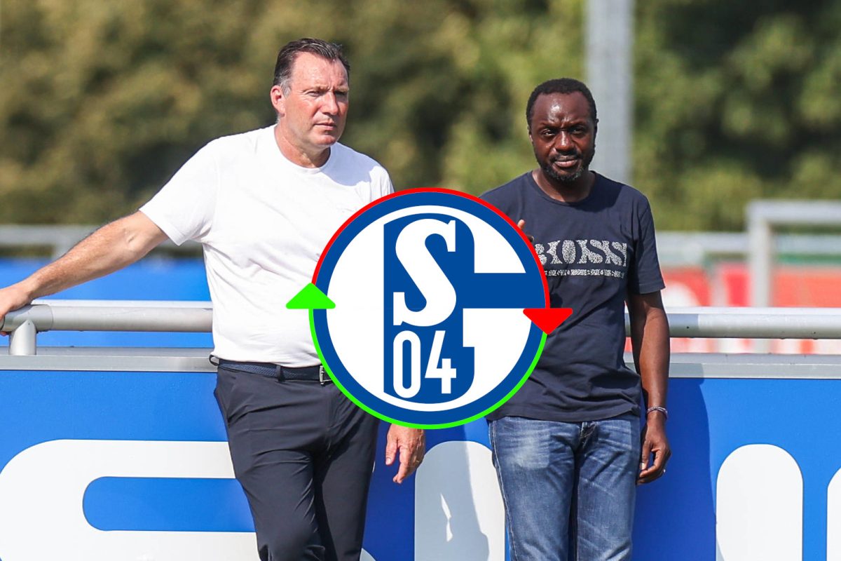 Der FC Schalke 04 holt einen neuen Spieler.