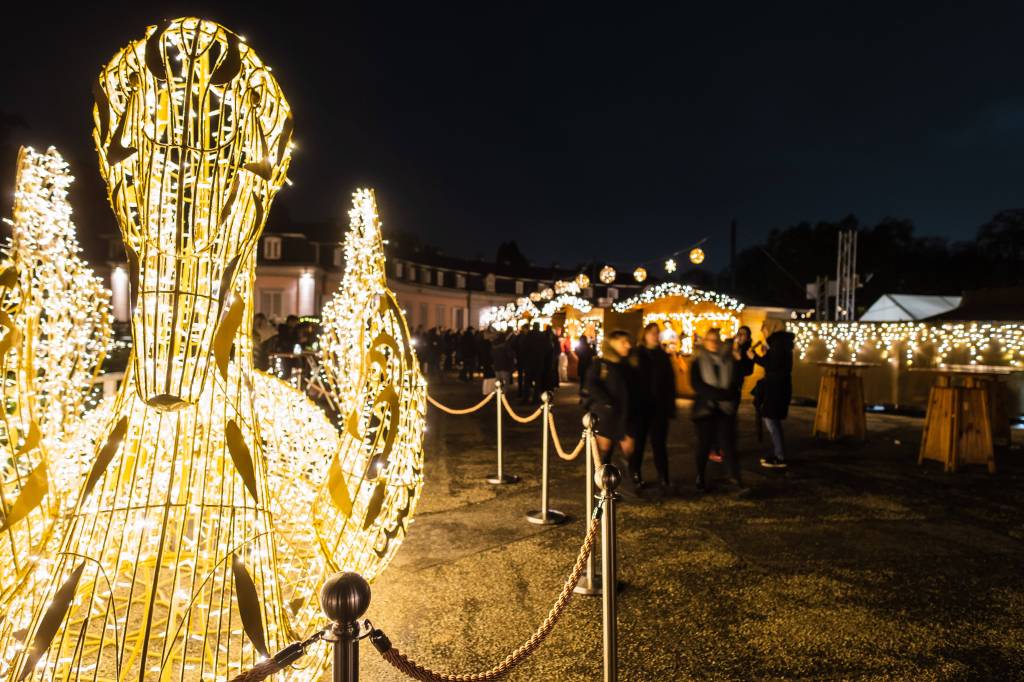 Lichtinstallation zu Weihnachten