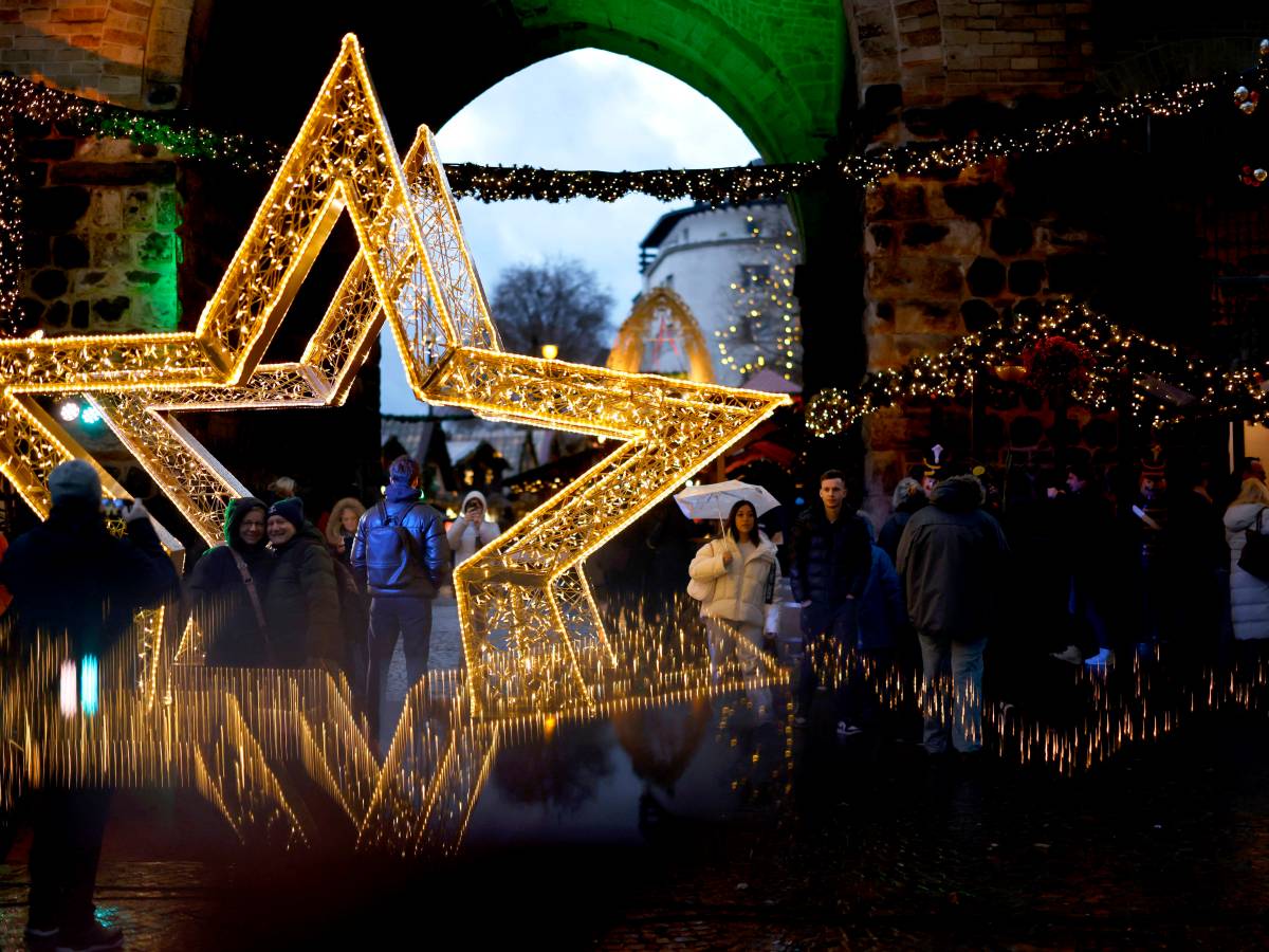 Weihnachtsstern auf Markt