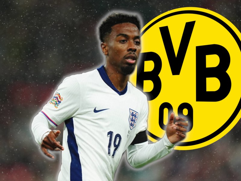 BVB Gomes
