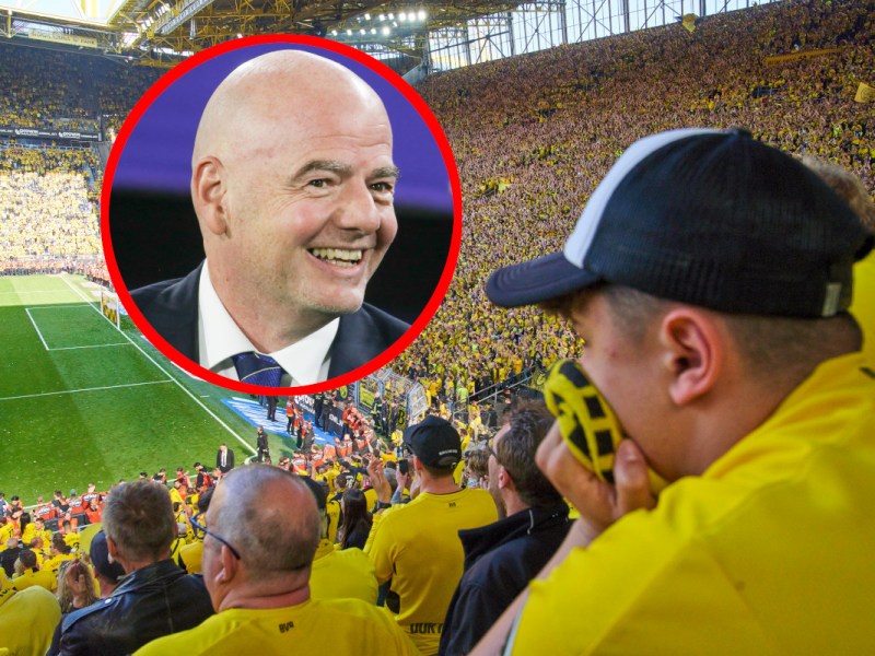 BVB Klub WM