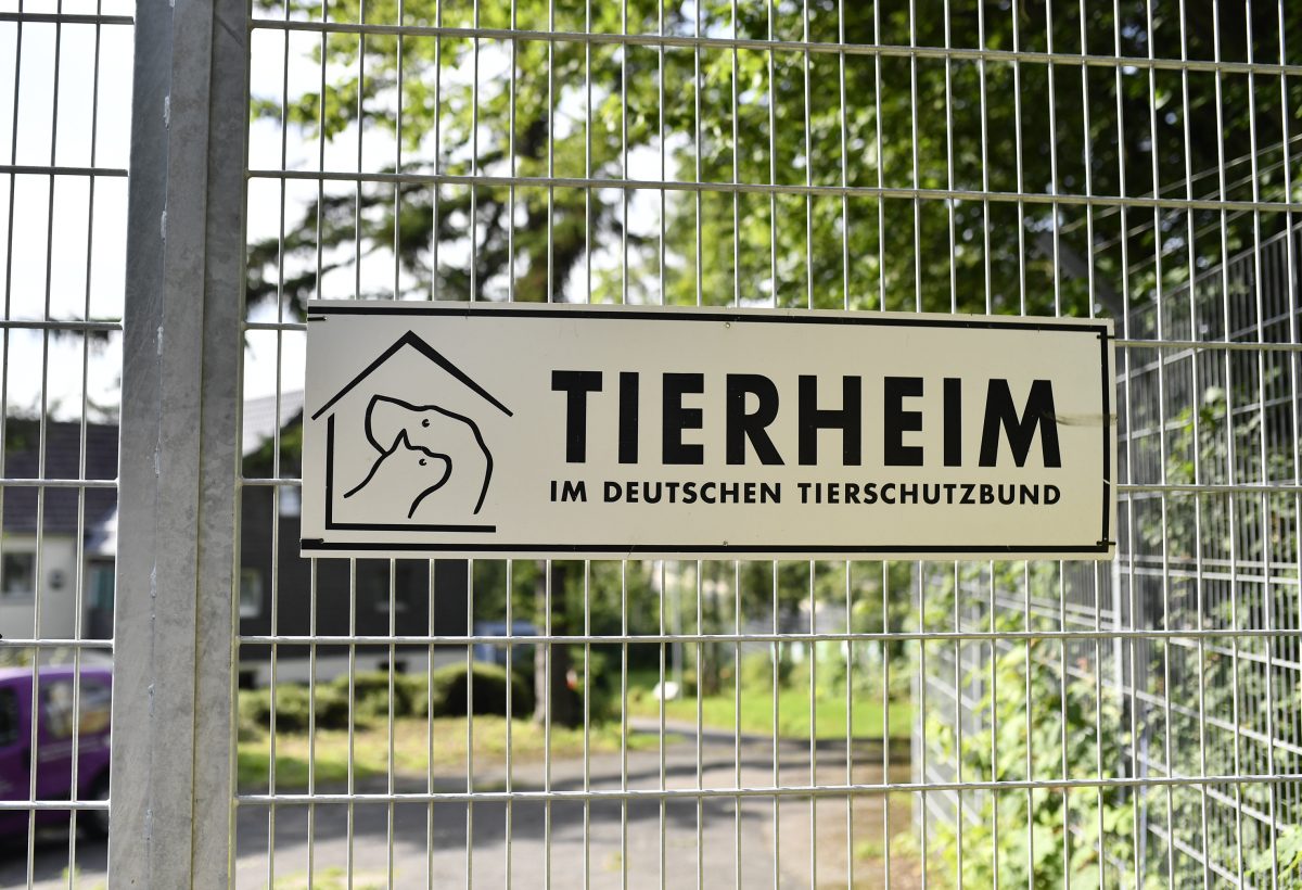 Tierheim