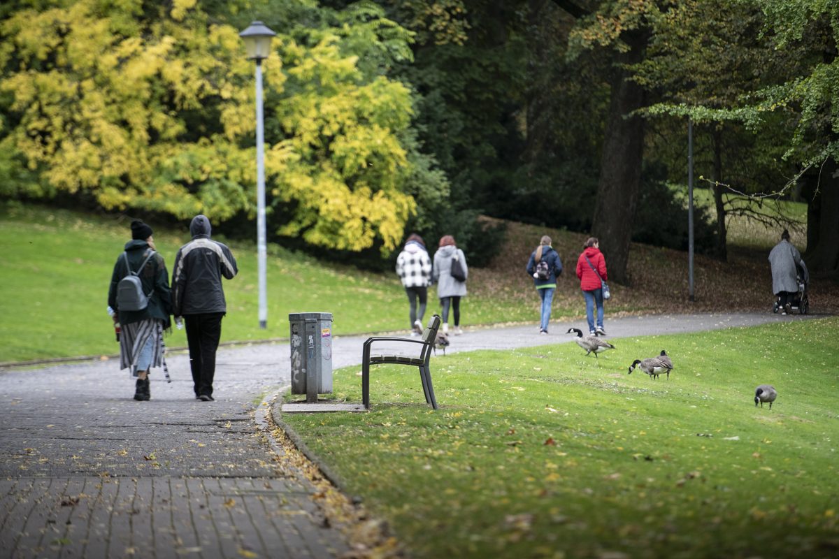 Im Stadtpark in Bochum kommt es immer wieder zu Diebstählen. (Archivfoto)