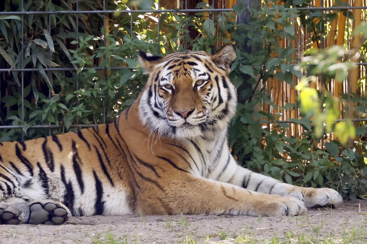 Kanntest du diesen Fakt von einem Zoo in NRW?