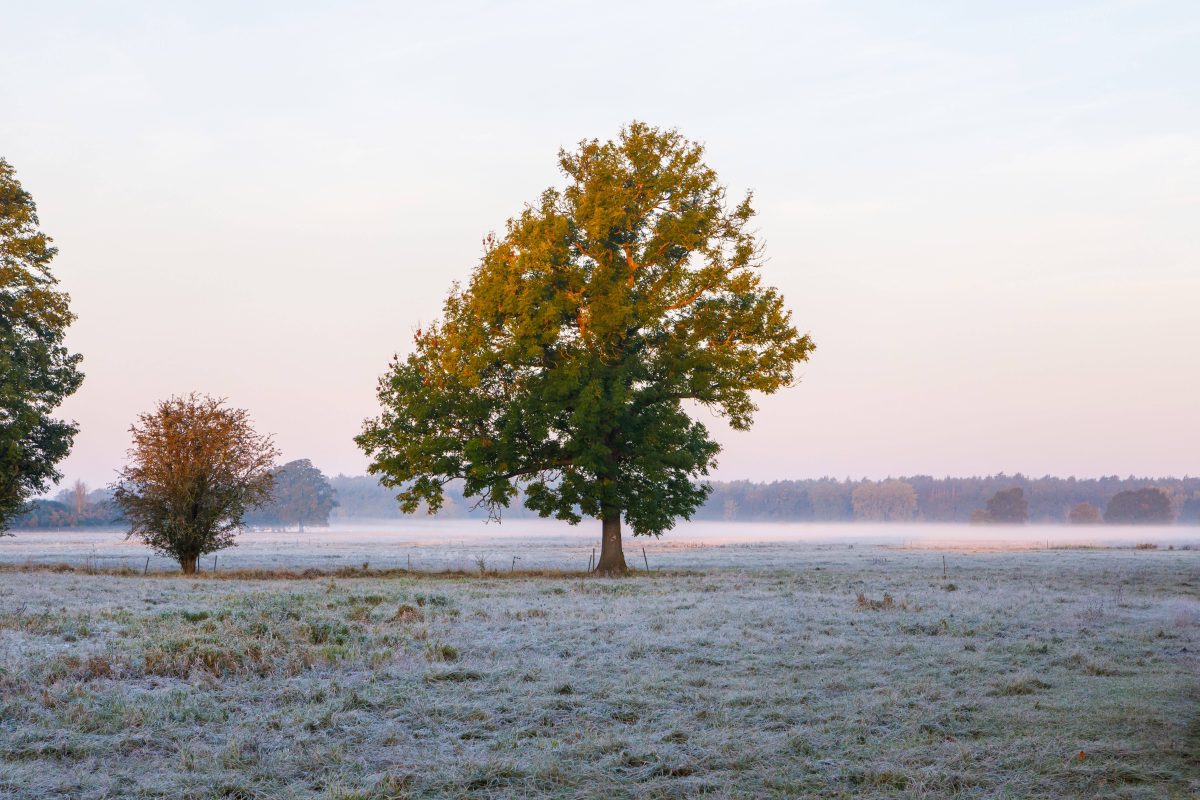 wetter nrw frost