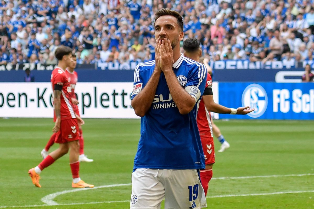 Der FC Schalke 04 verliert hochverdient gegen den 1. FC Köln und offenbart große Schwächen. Die Fans wollen nun vor allem eine Sache sehen.