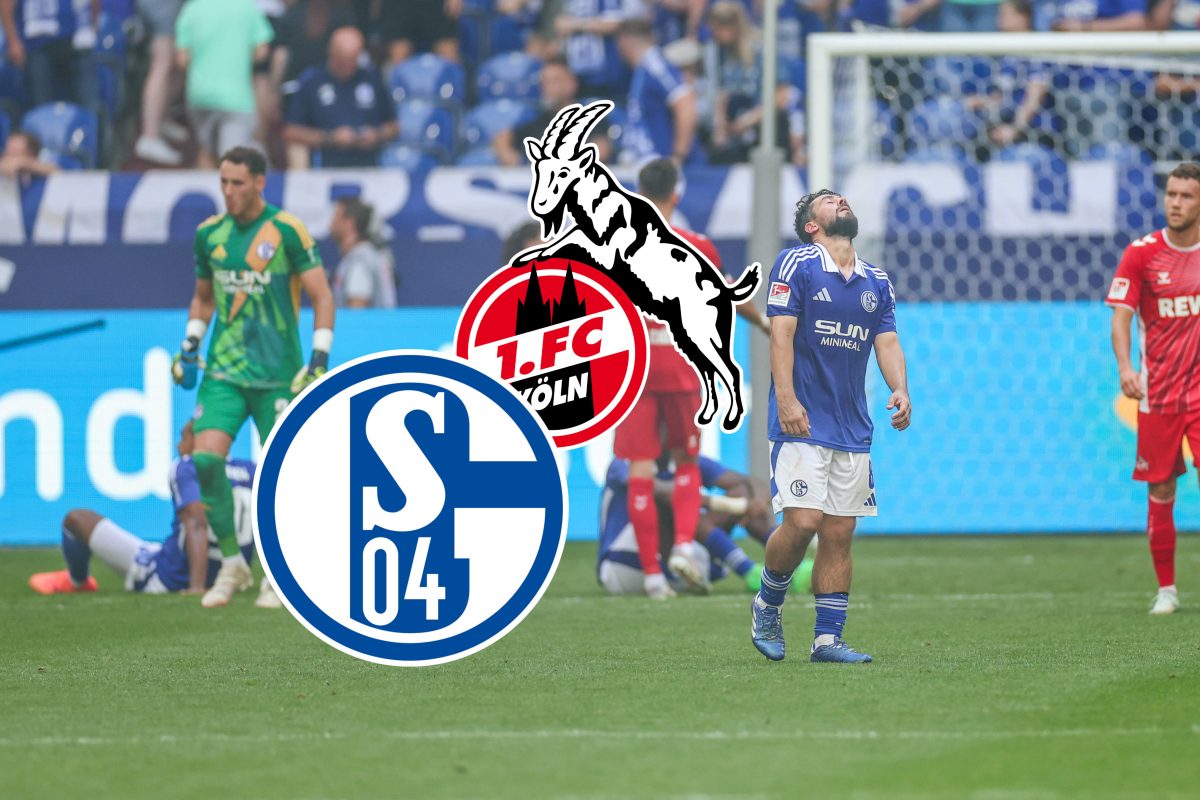 Der FC Schalke 04 ist auf dem Boden der Tatsachen angekommen. Nach der verdienten Heimpleite gegen Köln wollen die Fans nur eine Sache sehen.