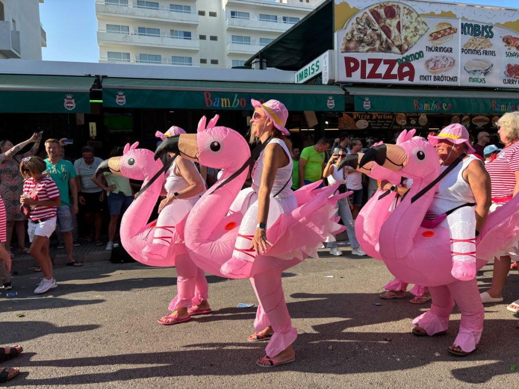 Typisch Karneval waren die Teilnehmer des Umzugs alle verkleidet. Hier zu sehen eine Gruppe Flamingos.