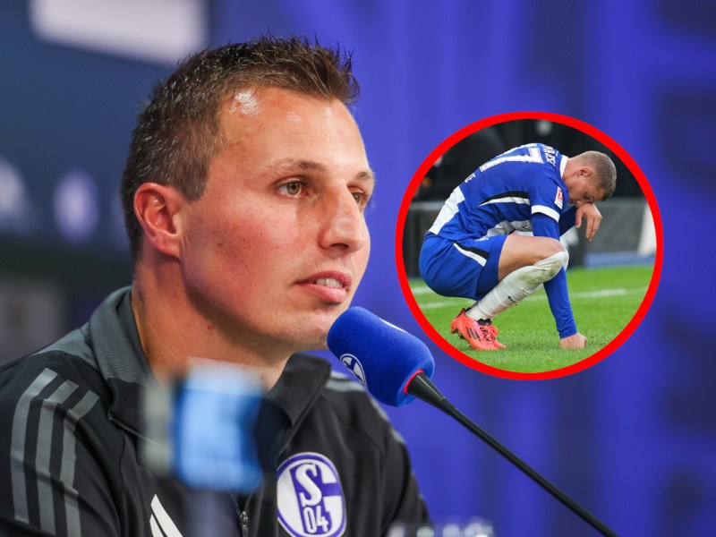 Schalke Hertha BSC