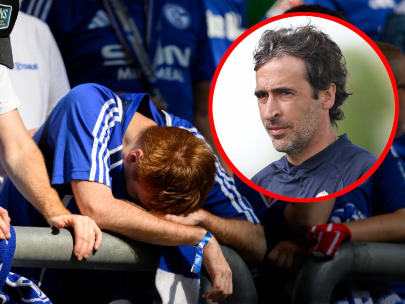 Schalke Raul Fans