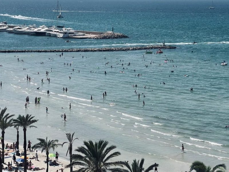 Mallorca: Ekel-Alarm im Meer – das sollten Strand-Besucher wissen