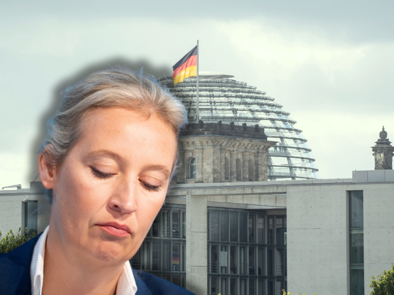 Ist AfD-Chefin Alice Weidel zu faul als Bundeskanzlerin?