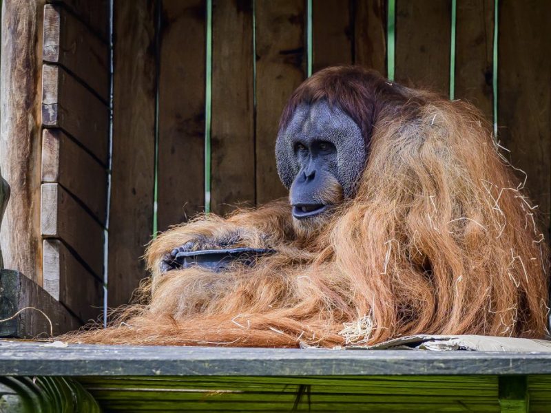 Zoo Dortmund