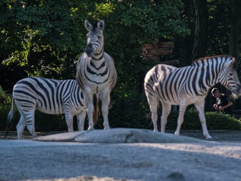Zoo Duisburg