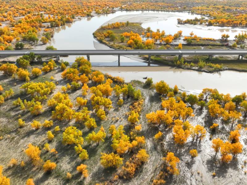 Tarim River Bridge
