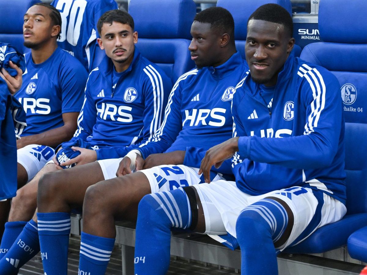 FC Schalke 04: Ibrahima Cisse