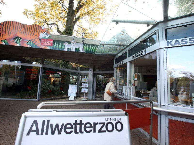 Zoo in NRW: Junge steht ganz dicht am Gehege â€“ seine Eltern trauen ihren Augen kaum