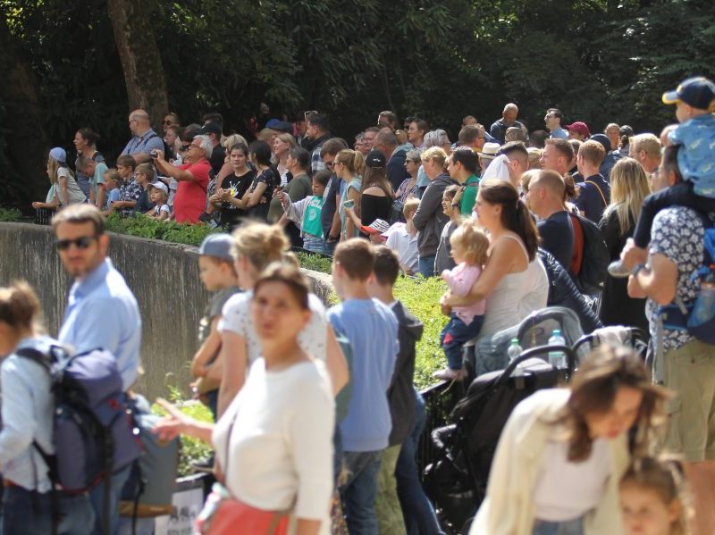 In einem Zoo in NRW hat sich Trauriges abgespielt. (Symbolfoto)
